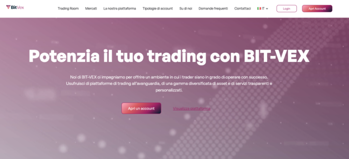 Bit-Vex Review Bit-Vex Review