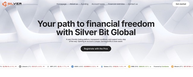 Silver Bit Global Review